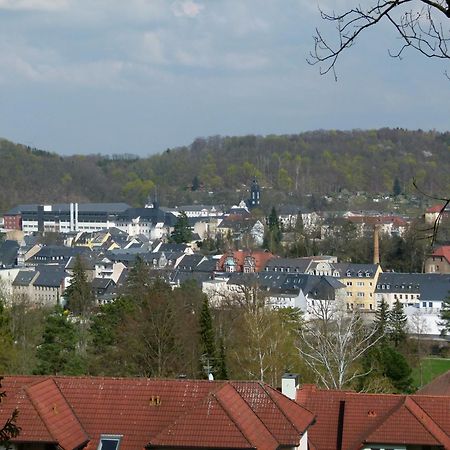 Ferienwohnung Urlaub Und Arbeit In Waldheim Exterior foto